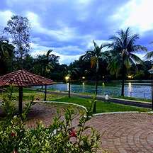 Parque Ecológico